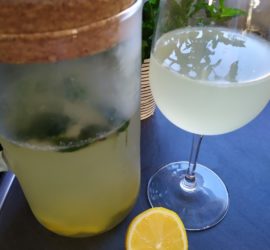 Limonade citron menthe
